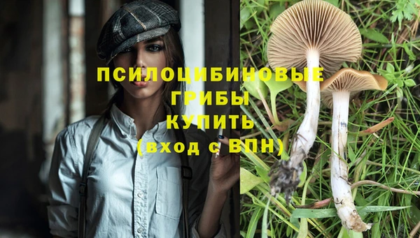 MDMA Алексеевка