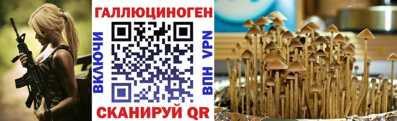 что такое   Зуевка  Галлюциногенные грибы GOLDEN TEACHER 