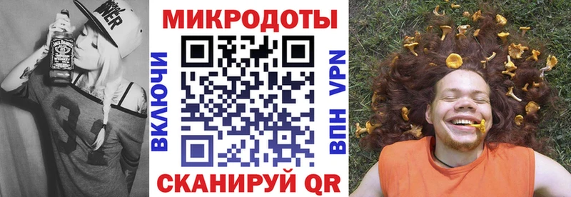 Псилоцибиновые грибы Psilocybe Зуевка